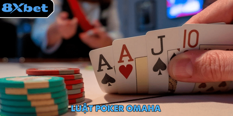 Luật Poker Omaha có cấu trúc chơi tương tự Texas Hold’em